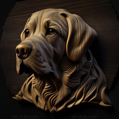 3D model st Alan dog breed dog (STL)